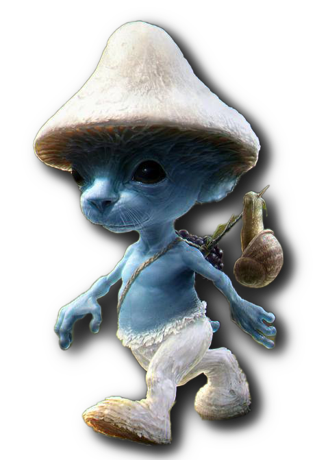 Home - BLUE SMURF CAT